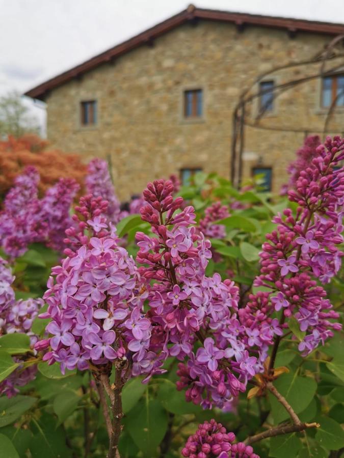 Il Cerro Konuk evi Pelago Dış mekan fotoğraf