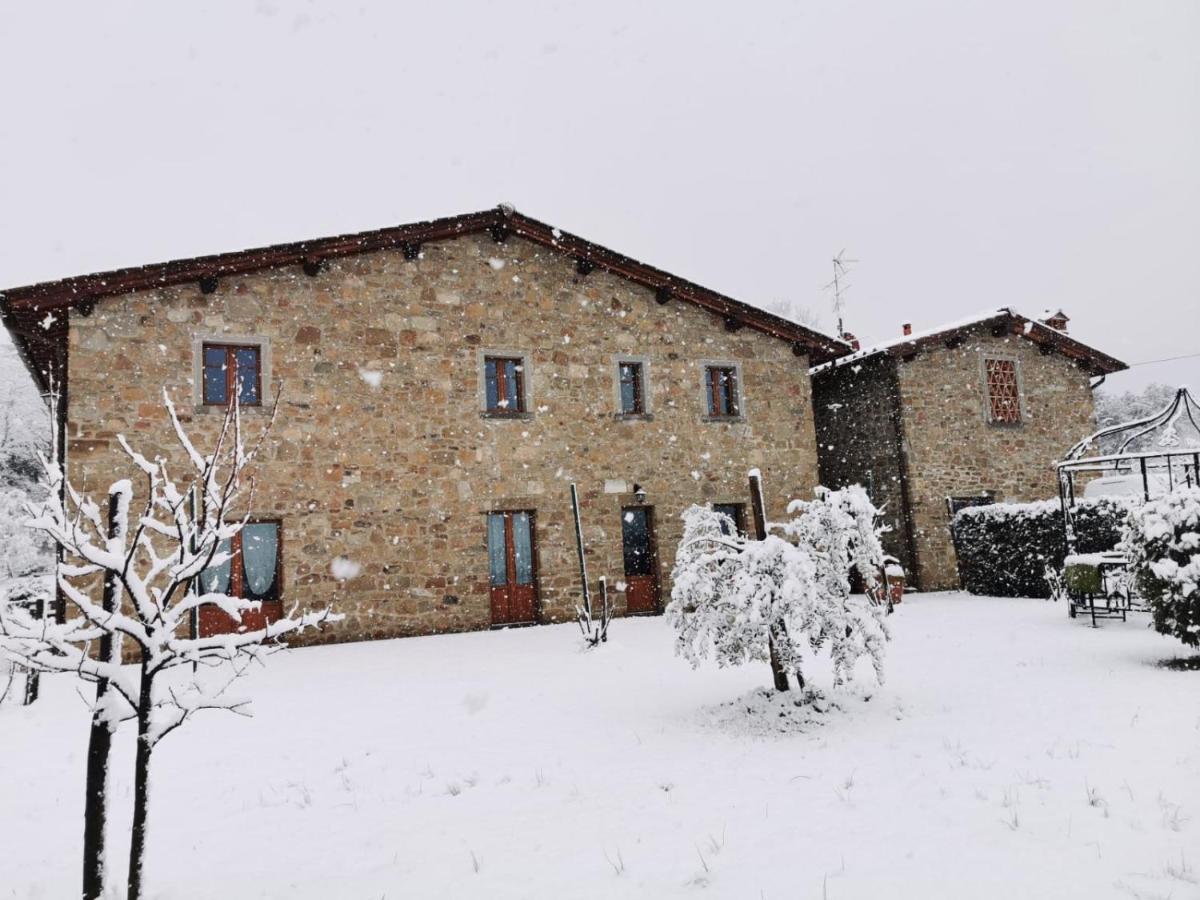 Il Cerro Konuk evi Pelago Dış mekan fotoğraf