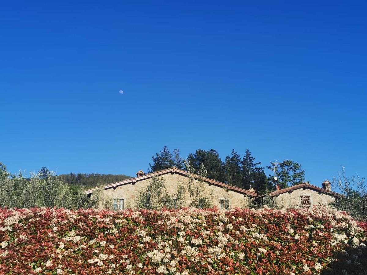 Il Cerro Konuk evi Pelago Dış mekan fotoğraf