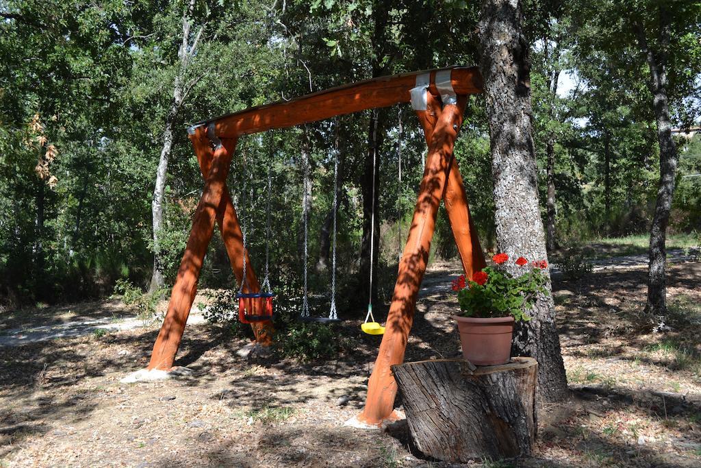 Il Cerro Konuk evi Pelago Oda fotoğraf