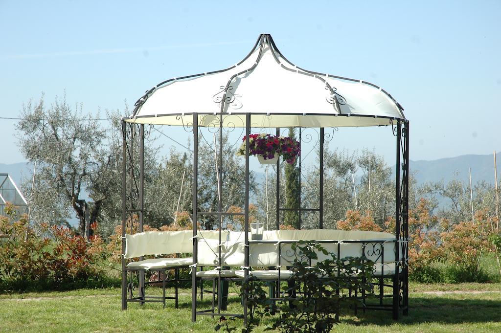 Il Cerro Konuk evi Pelago Oda fotoğraf